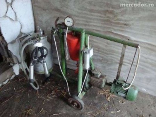 A reclamat că i-au furat mulgătoarea de vaci